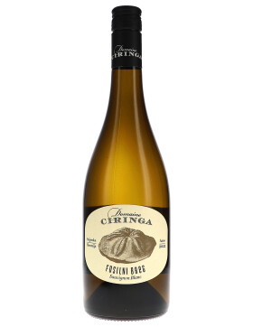 Ciringa, Fosilni Breg 2024 Tement (bio)