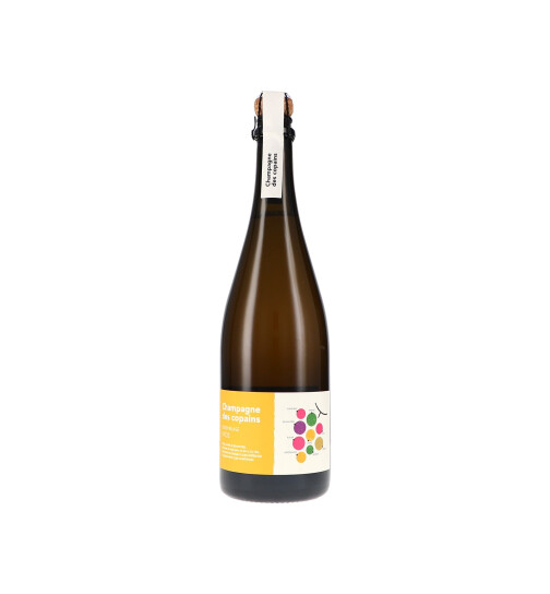Copains N°2, Brut Nature 2021 Olivier Horiot (bio)