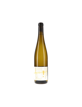 Riesling Kabinett 2025 Weingut Schätzel (bio)