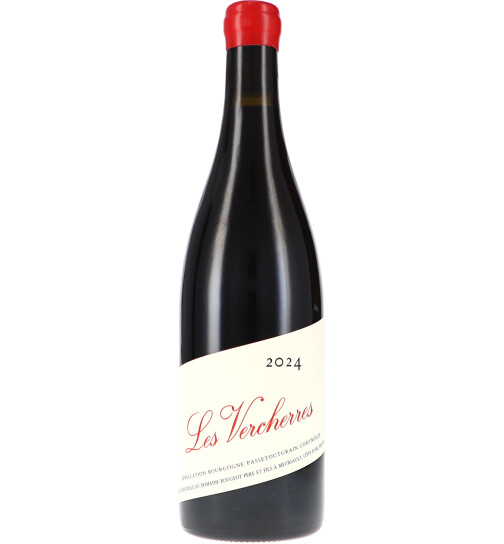 Bourgogne Passetoutgrain Les Vercherres Sans Sulfite Ajouté AOC 2024 Rougeot Père & Fils