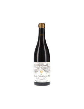 Volnay-Santenots Premier Cru AOC 2023 Rougeot Père & Fils (bio)
