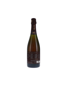 Intens Rosat Brut Nature 2022 Recaredo (bio)