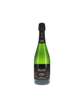 Terrers Brut Nature 2021 Recaredo (bio)