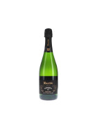 Terrers Brut Nature 2021 Recaredo (bio)