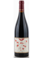 Cabernet Franc La Diablesse 2017 CHATEAU DE COULAINE (bio)