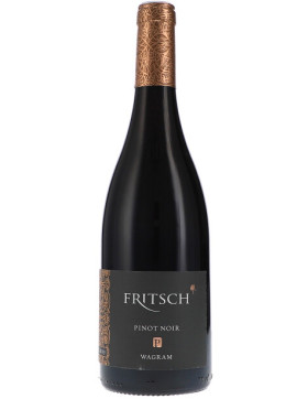 Pinot Noir P 2019 FRITSCH (bio)