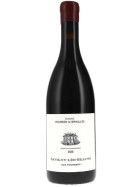 Pinot Noir Savigny-Les-Beaune Aux Fourneaux rouge AOC 2020 CHANDON DE BRIAILLES (bio)