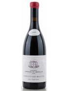 Pinot Noir Savigny-Les-Beaune Aux Fourneaux rouge sans soufre ajoute AOC 2019 CHANDON DE BRIAILLES (bio)