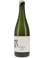 Instabile Pet Nat No. 0 Invitro 2021 VINS NUS