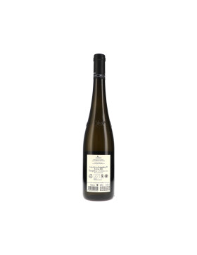 Riesling Ried Loiserberg 1.ÖTW Kamptal DAC 2022 FRED...