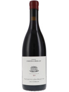 Pinot Noir Savigny-Les-Beaune Aux Fourneaux rouge sans soufre ajoute AOC 2021 CHANDON DE BRIAILLES (bio)