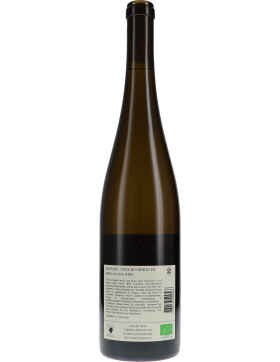 Riesling Clos Windsbuhl 2022 ZIND-HUMBRECHT (bio)