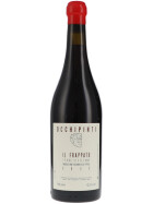 Il Frappato IGT Sicilia 2022 ARIANNA OCCHIPINTI (bio)