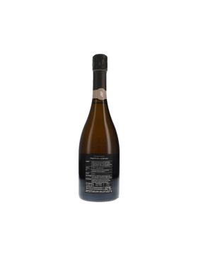 Derrière le Mont Aigu N°13, Chouilly Grand Cru...
