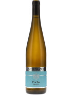 Riesling Fuchs 2019 WEINGUT SCHÄTZEL (bio)