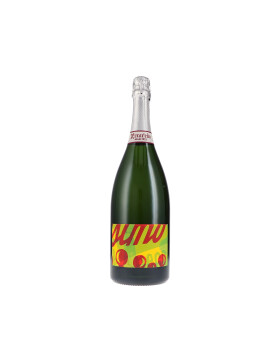 Magnum del Centenari, Brut Nature 1,5L 2018 Recaredo (bio)